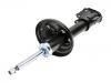 Stoßdämpfer Shock Absorber:41602-55G50