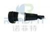 Shock Absorber:6600138562