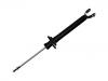 Stoßdämpfer Shock Absorber:1 028 704