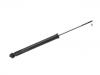 Stoßdämpfer Shock Absorber:41810-71L70