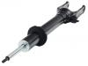 Shock Absorber:251 320 03 30